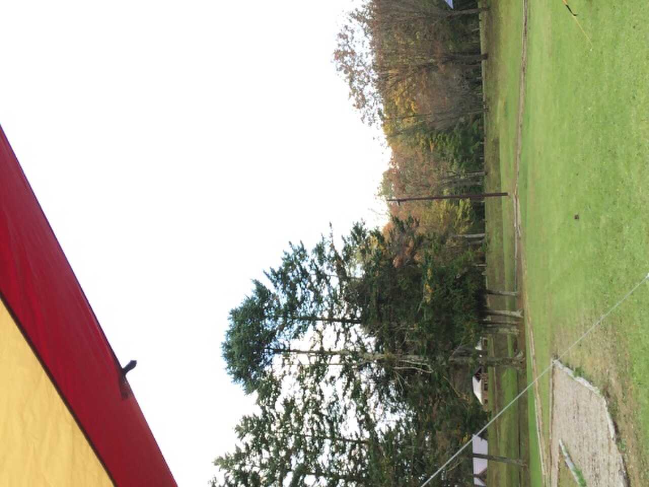 紅葉まではもう少し?
