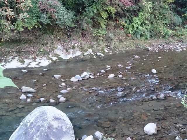 尾鈴キャンプ場の写真 1枚目