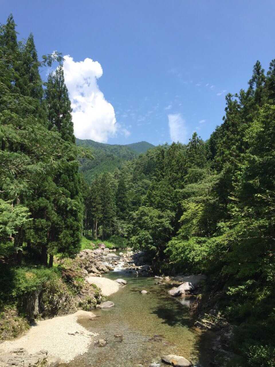 緑と綺麗な水にうっとり