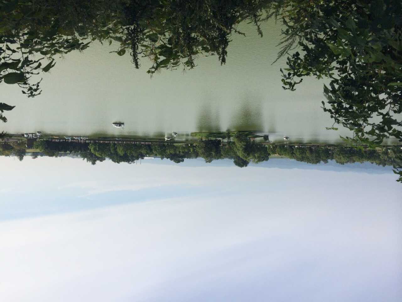 鶴沼公園キャンプ場の写真 2枚目