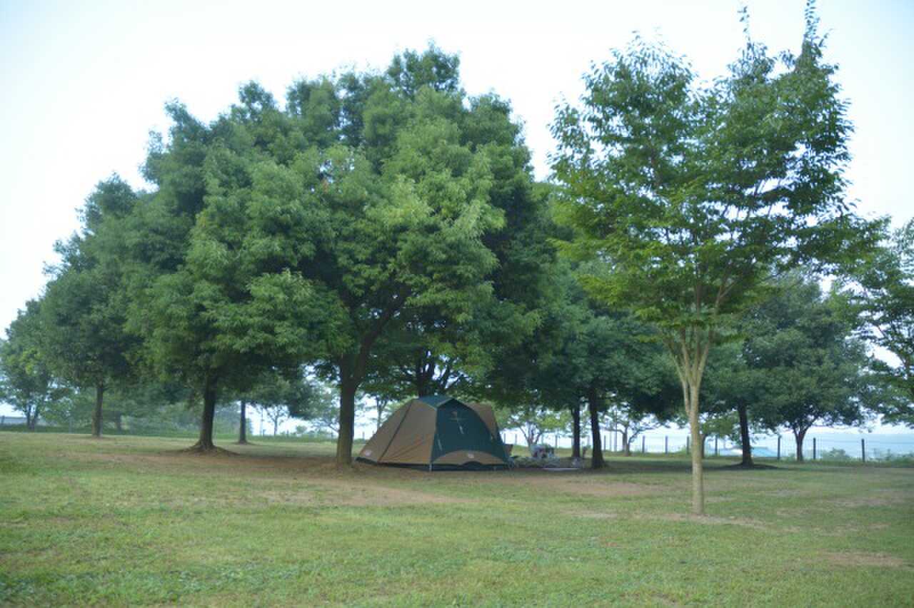 我孫子市 ふれあいキャンプ場