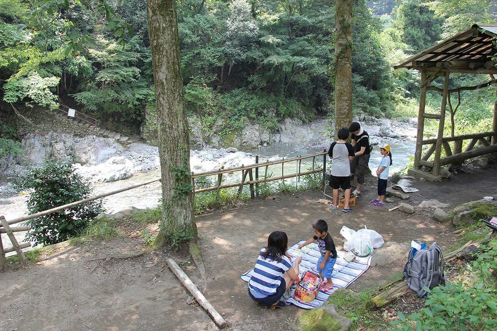 清水苑キャンプ場の写真 1枚目