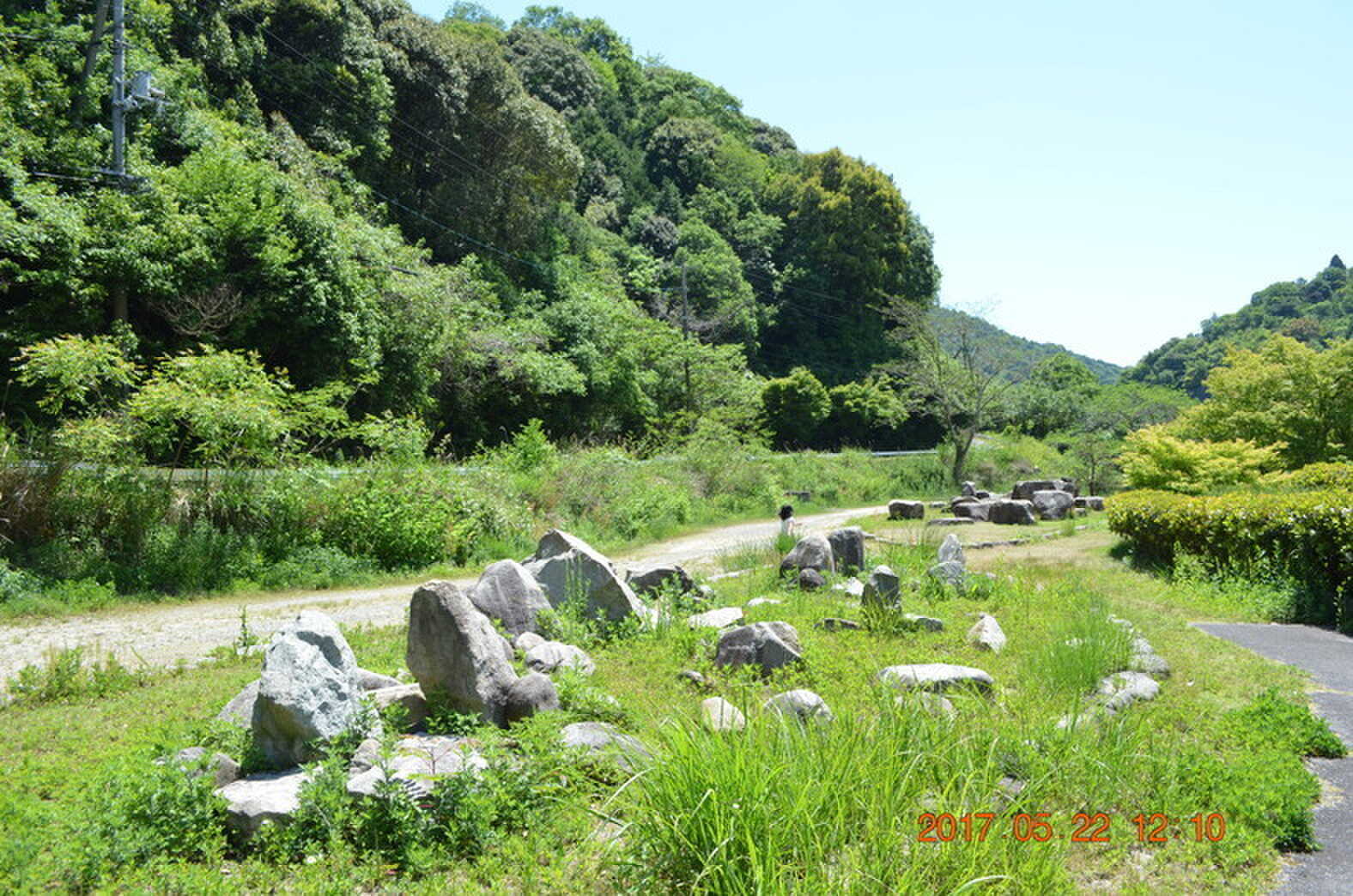 岩遊びができそうかな?