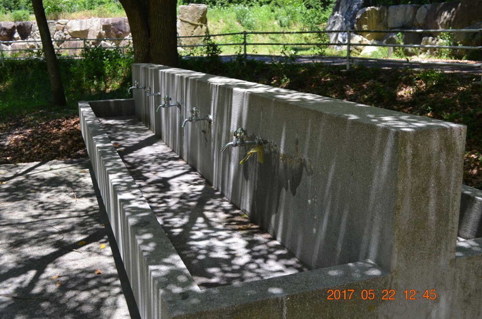水道場(蛇口を捻っている時だけ水が出ます)