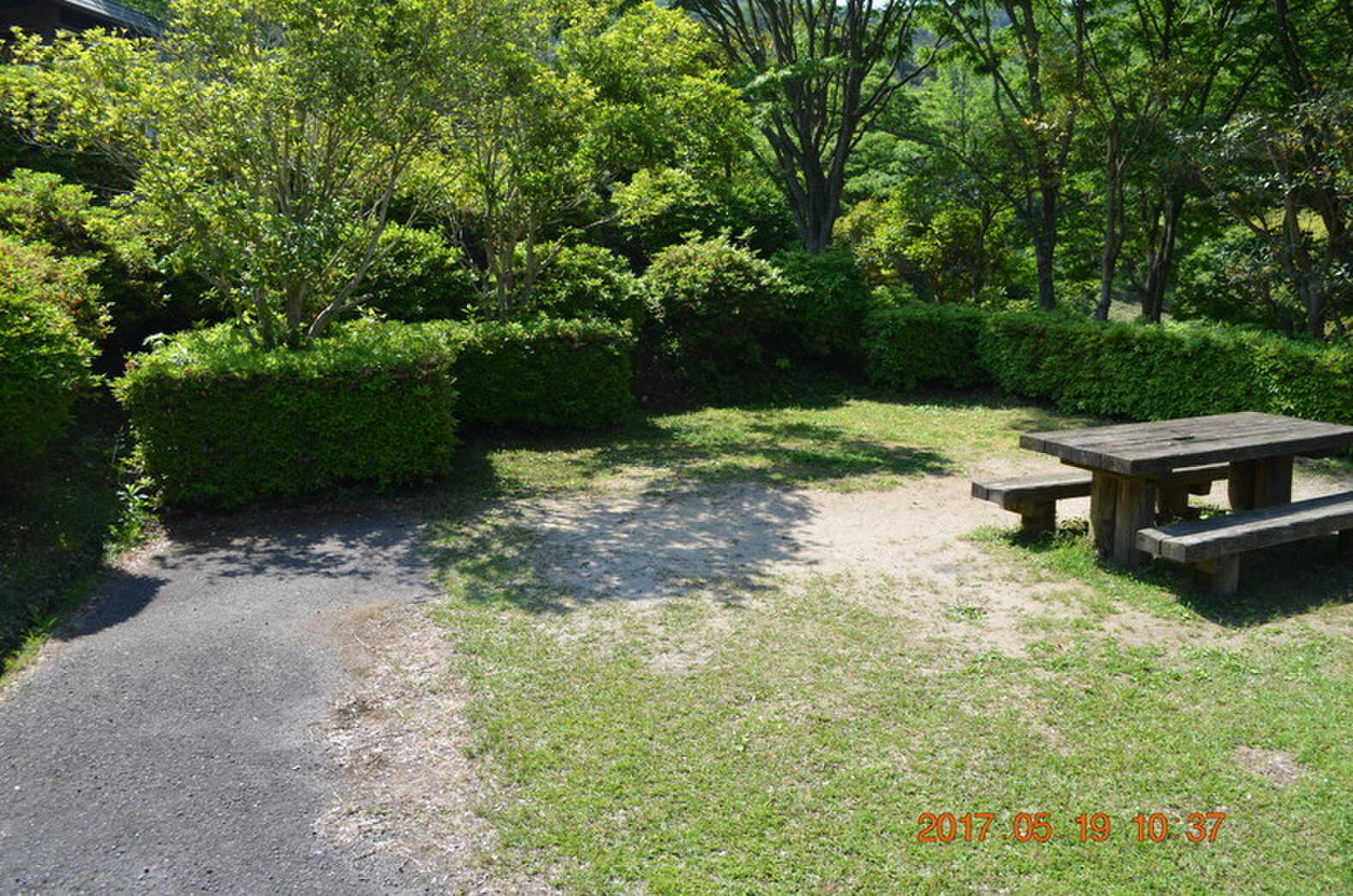 真道山森林公園キャンプ場の口コミ投稿写真