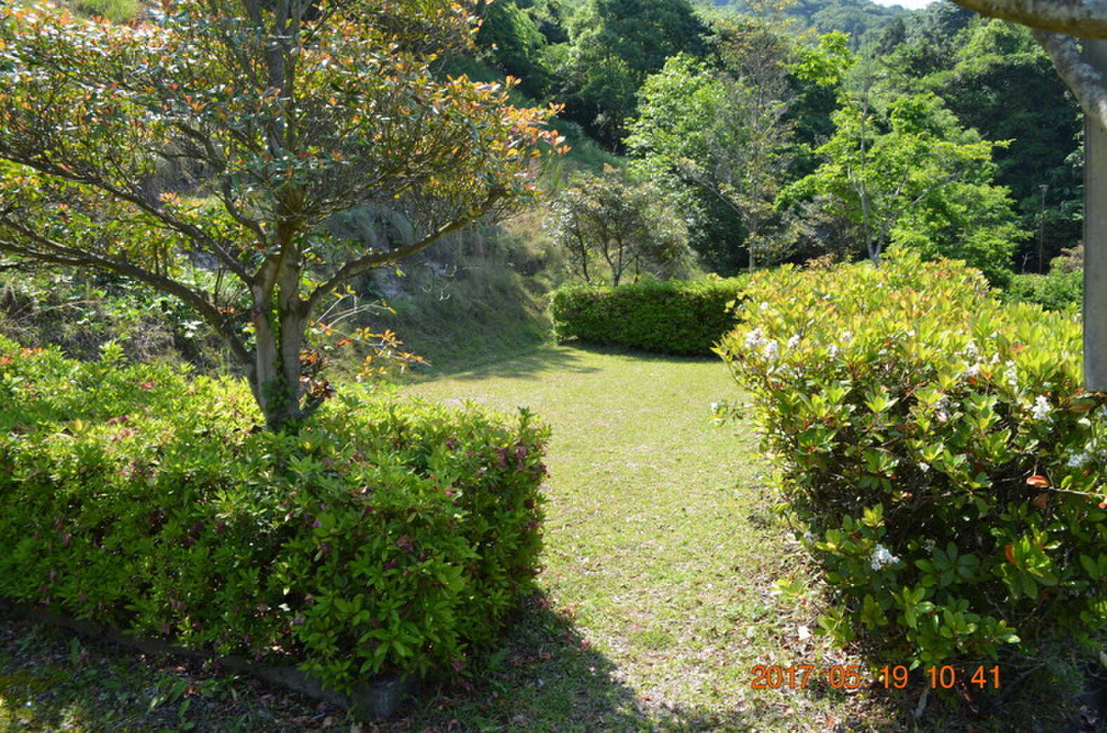 真道山森林公園キャンプ場の口コミ投稿写真