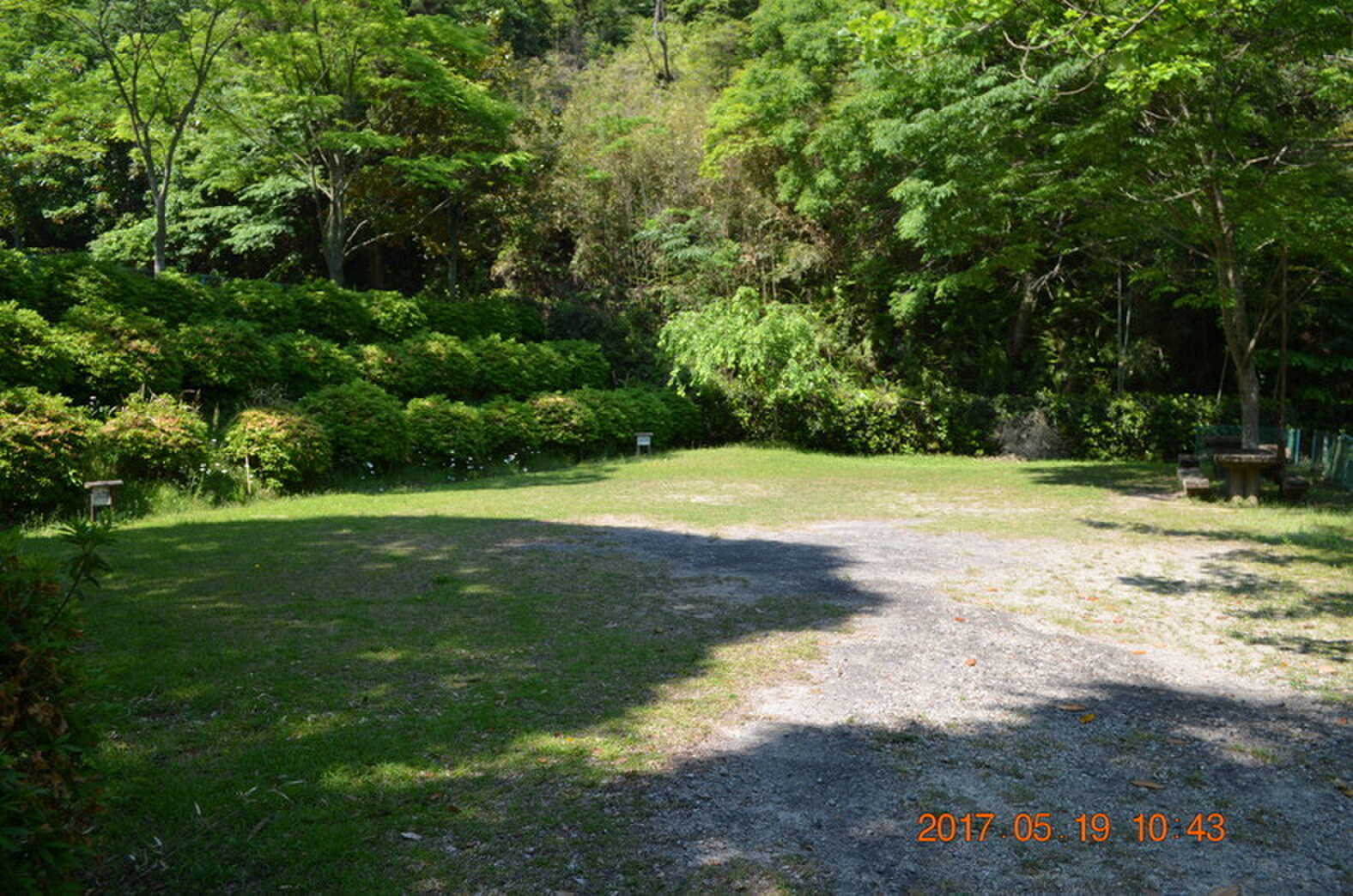 真道山森林公園キャンプ場の口コミ投稿写真