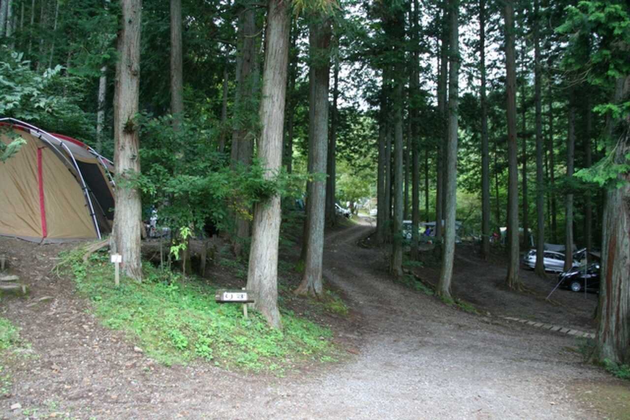 リスエリア