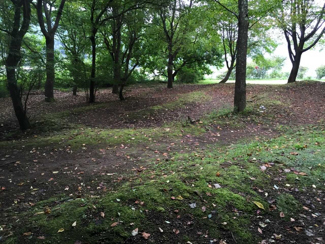 MTBコース