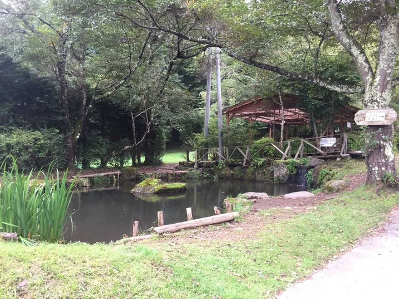 釣り堀