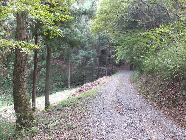 相模湖休養村キャンプ場の写真 4枚目