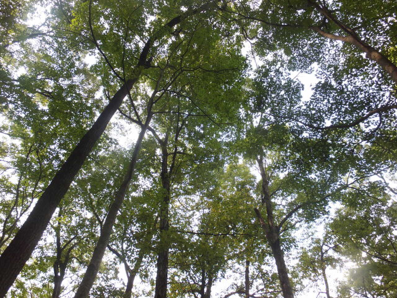 相模湖休養村キャンプ場8