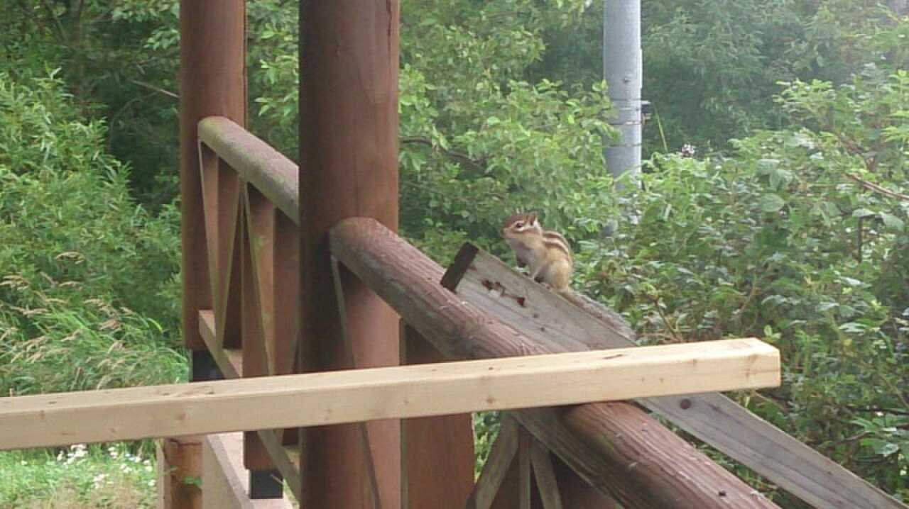 【H28/7月現時点 閉鎖中】しれとこ自然村の写真 3枚目