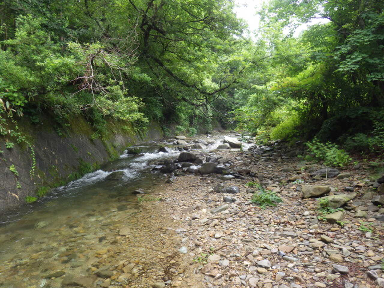 CAMP IN ドロブックルの写真 3枚目