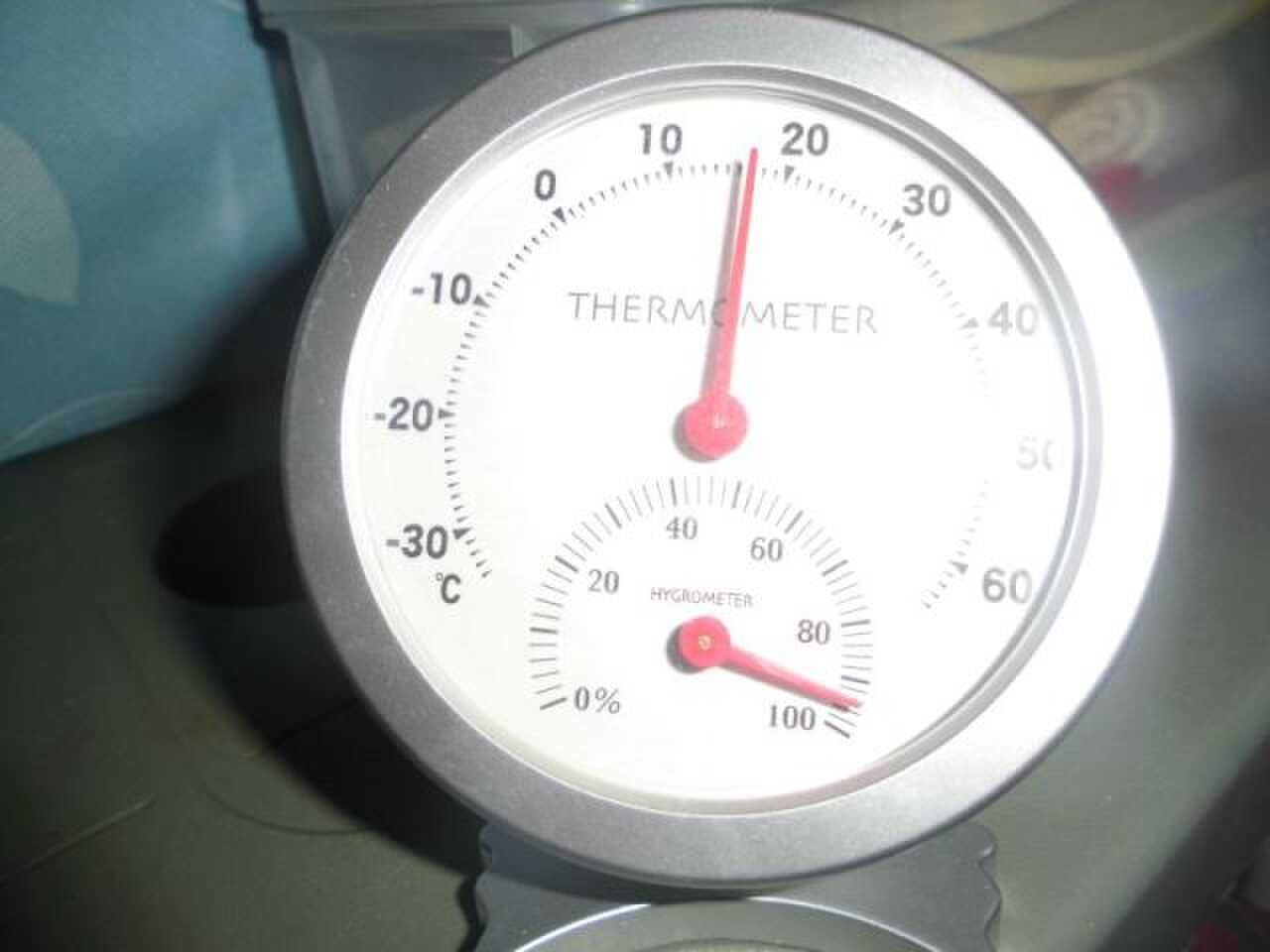 8月の真夏でも標高800mのキャンプ場は涼しいです。