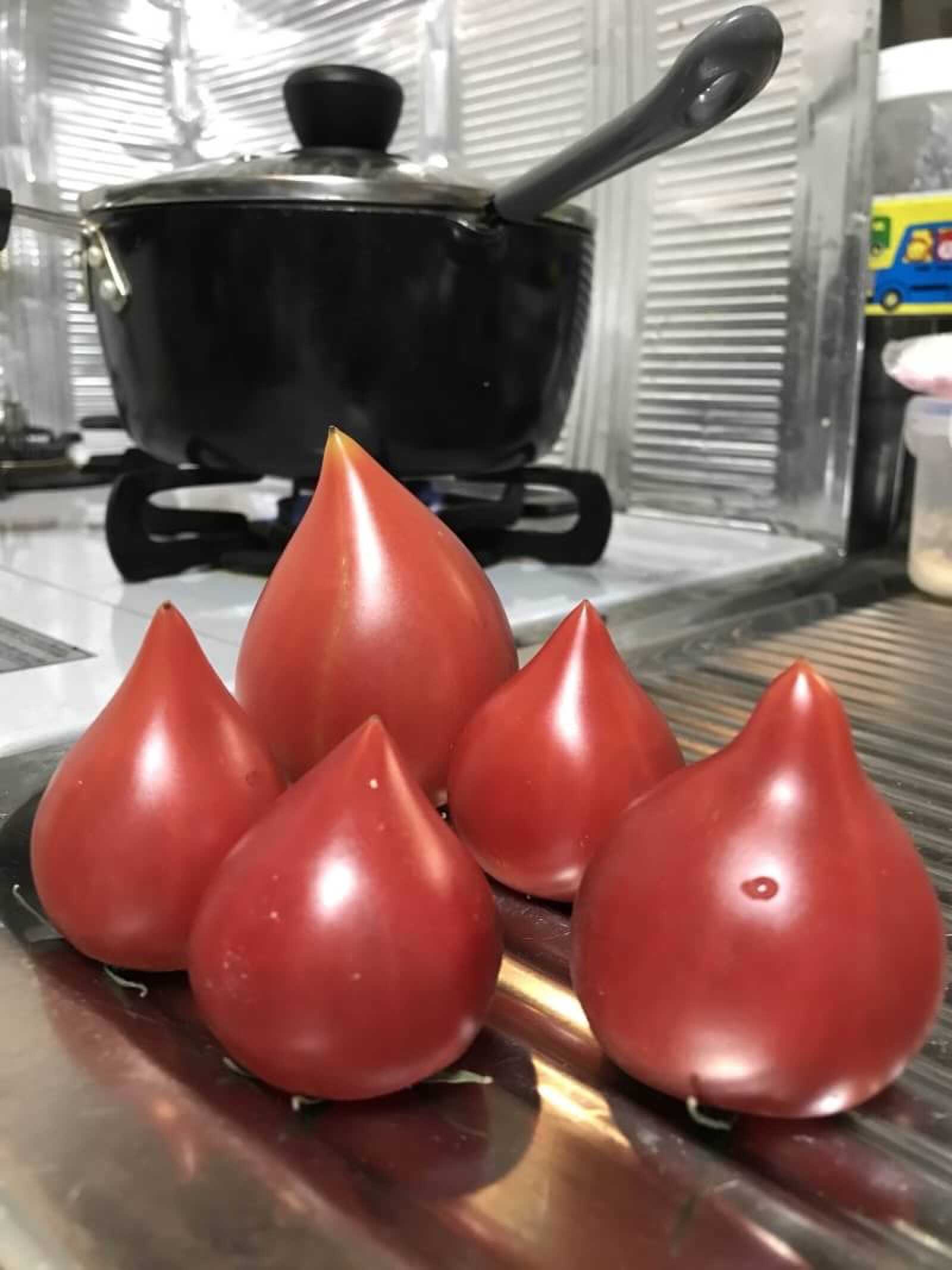 近くのトマト屋で購入