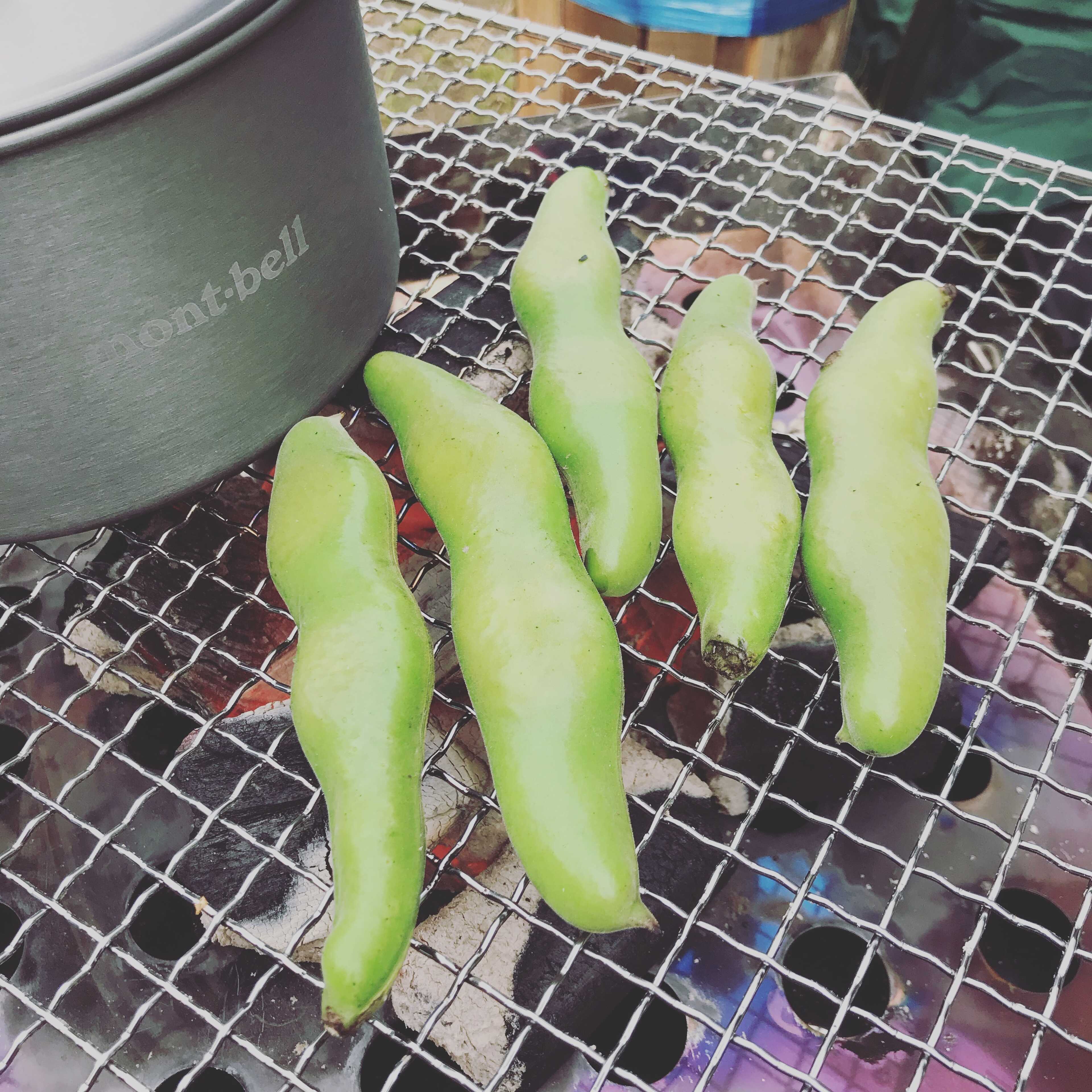 大原オートキャンプインそとぼうの写真 3枚目