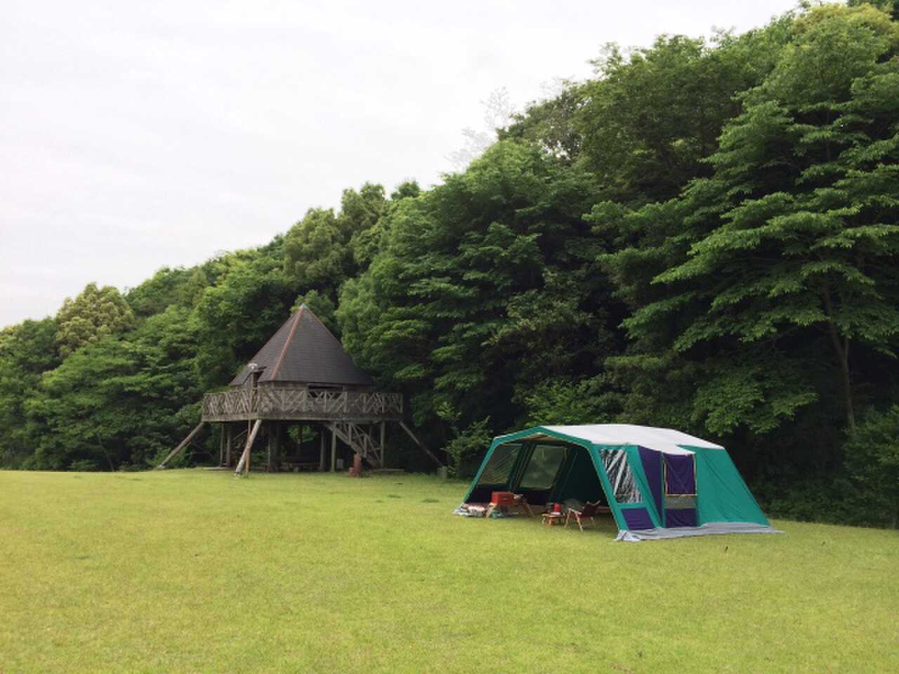 芝生もきれいでフカフカ!