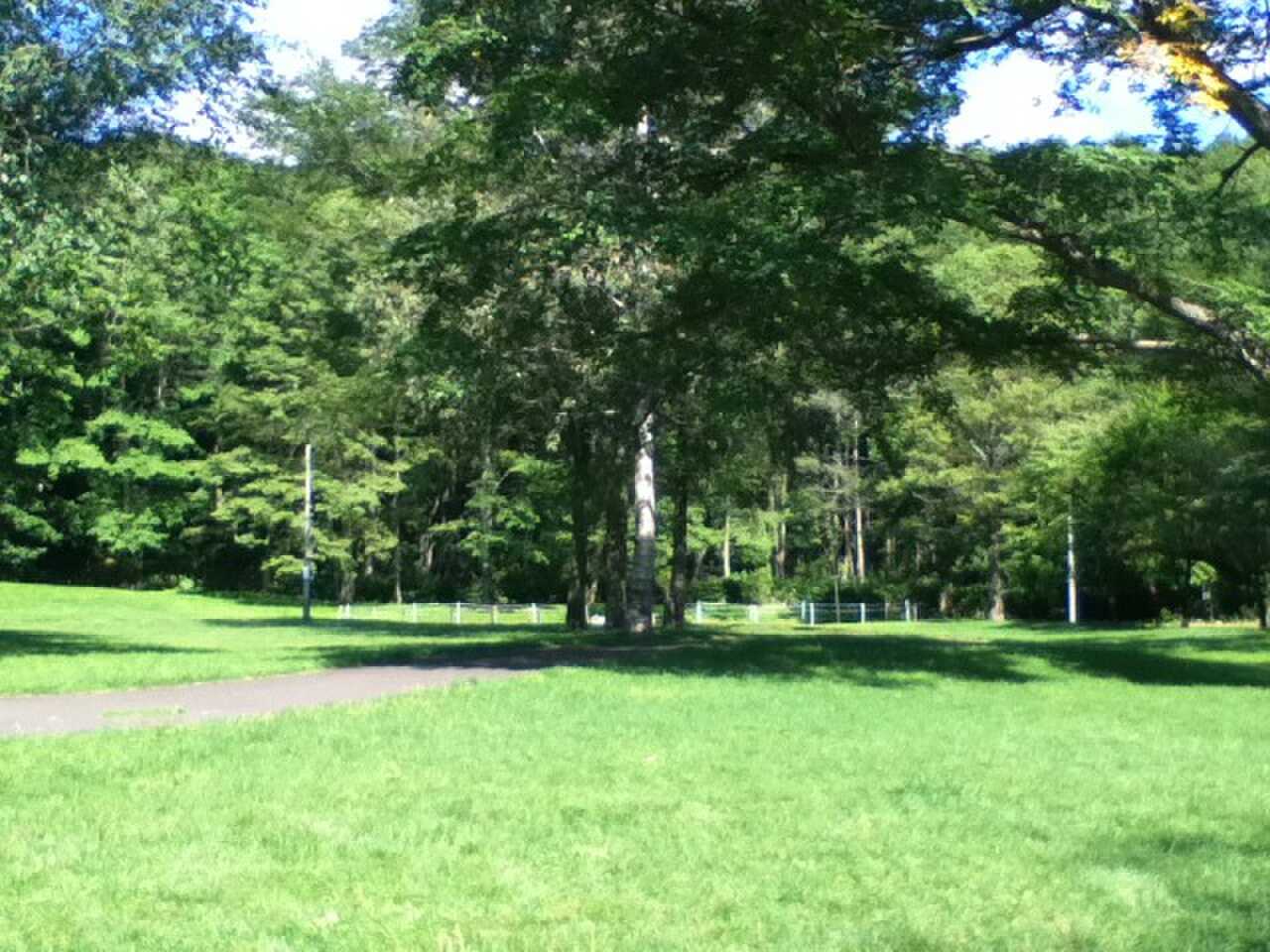 北広島市自然の森キャンプ場の写真 3枚目
