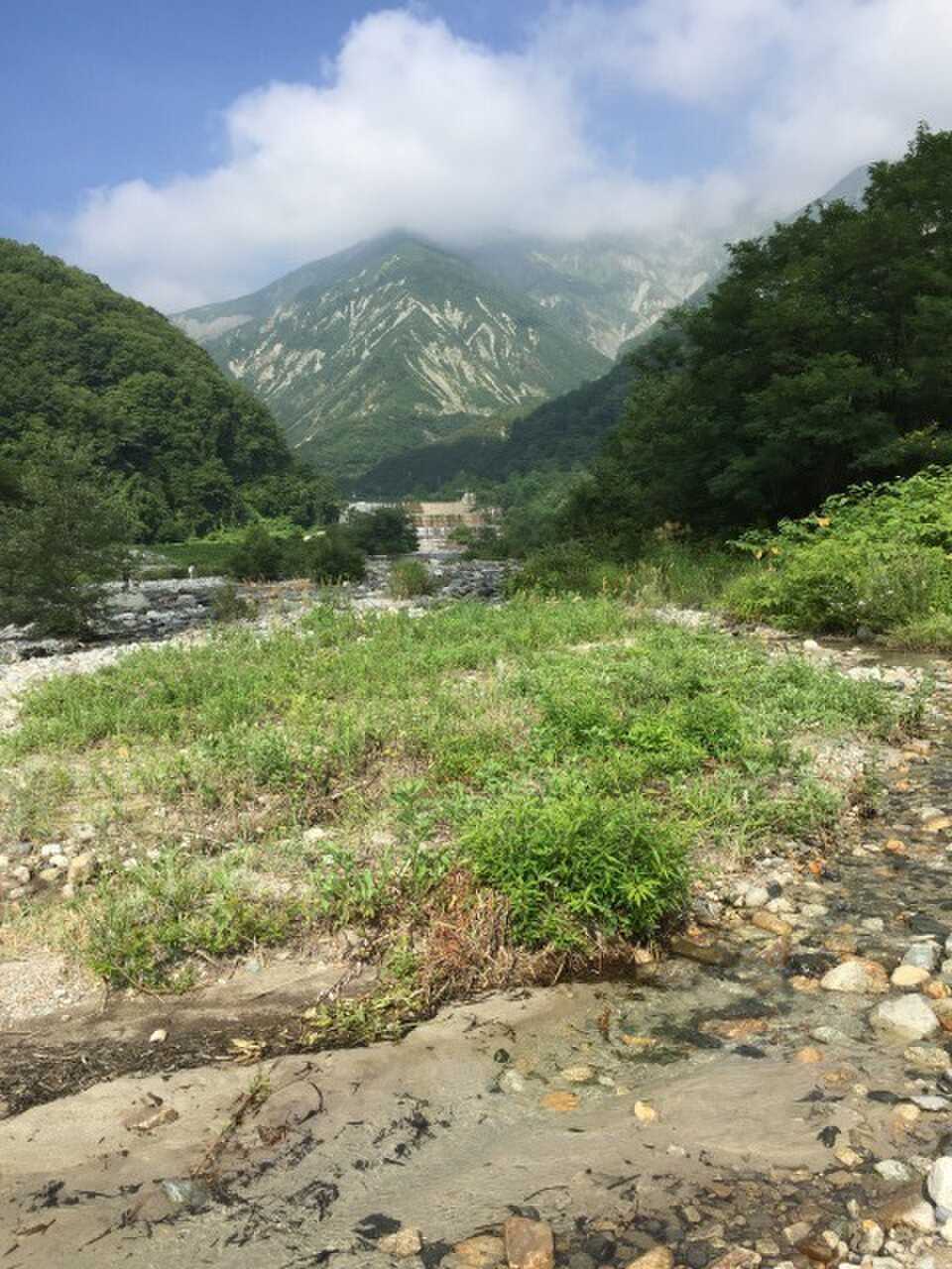 川の中州より