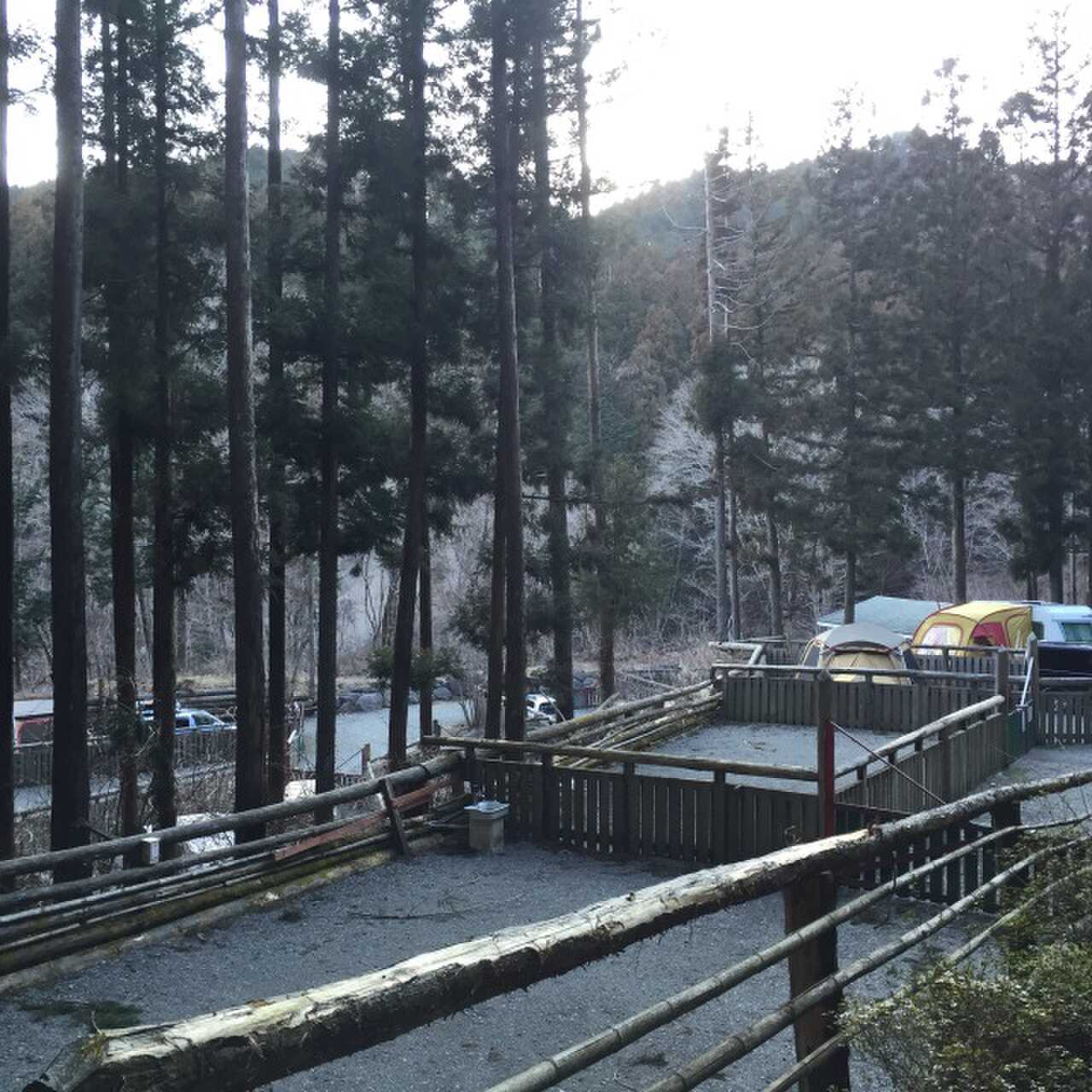 サイト風景