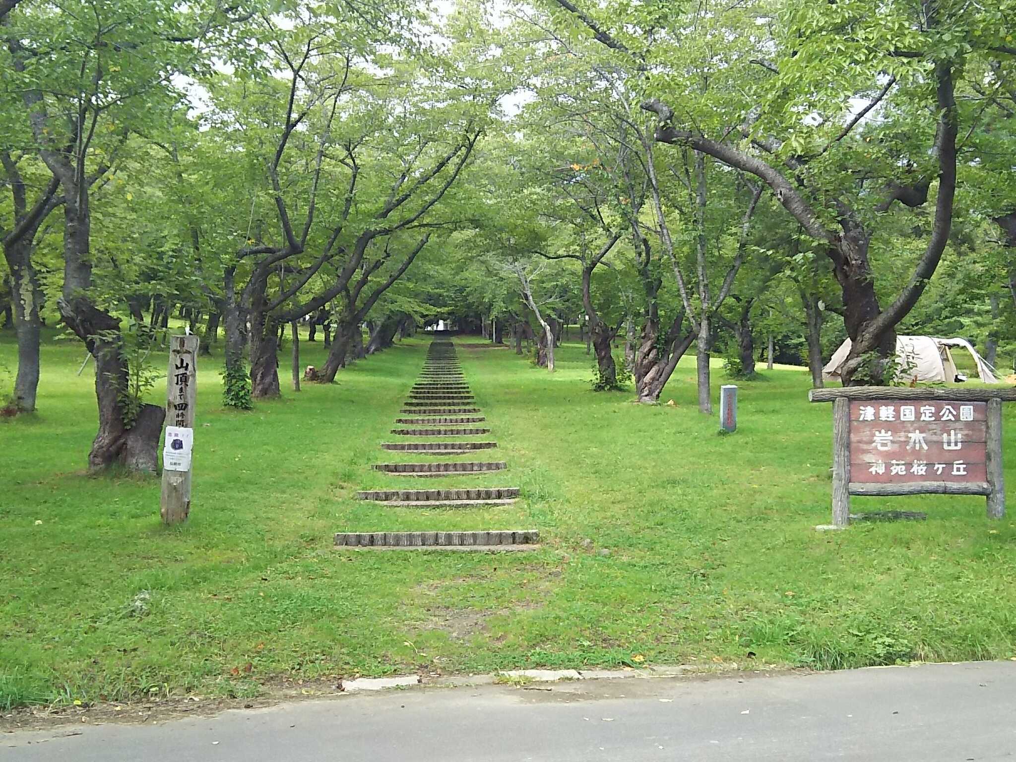 桜林公園の写真 3枚目