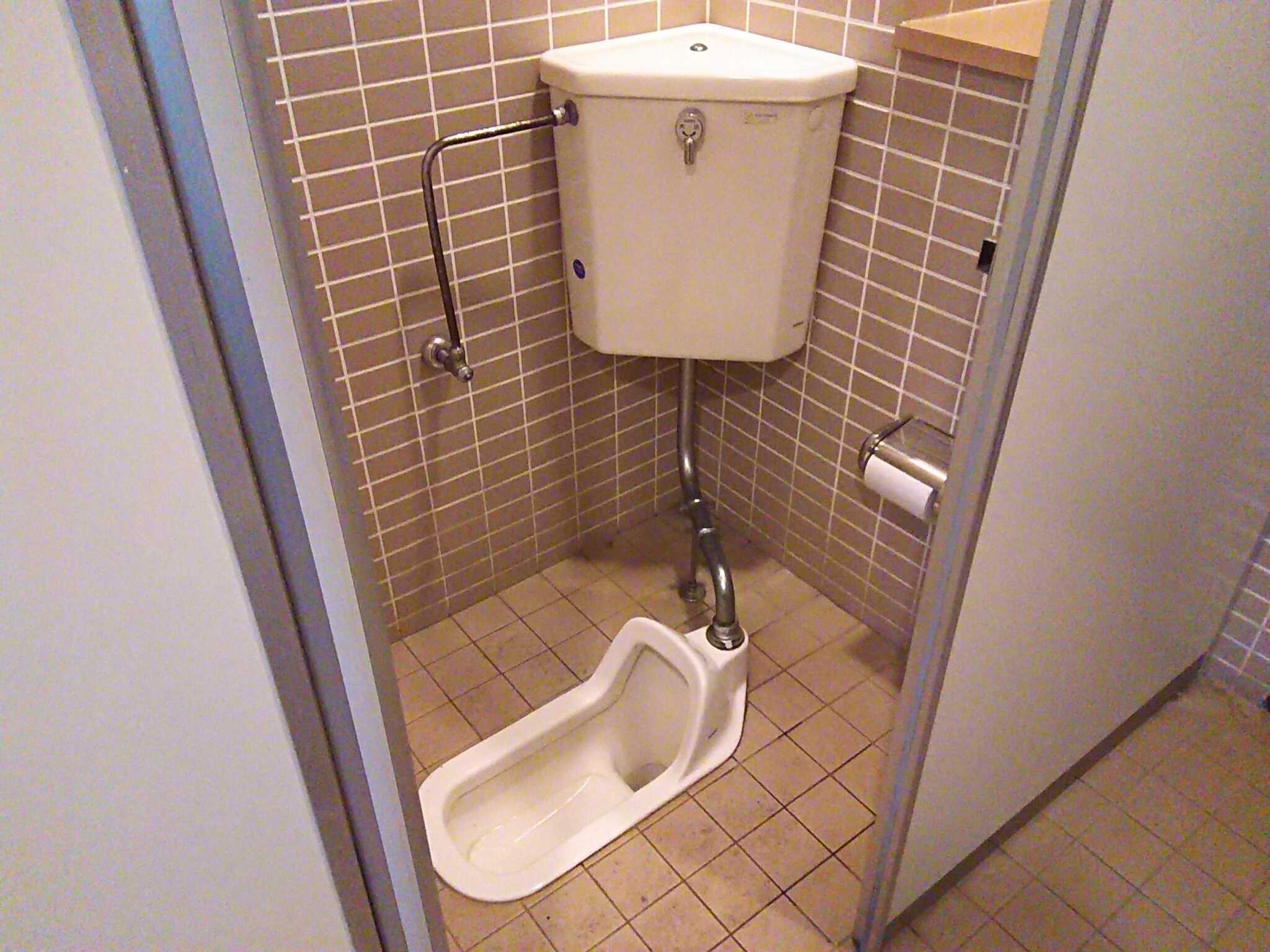 斜面上の男子トイレ。和式便器。1ヶ所のみ。トイレットペーパーは予備もあり。