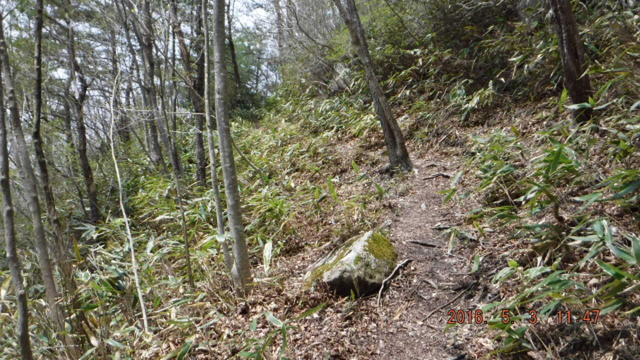 登山道