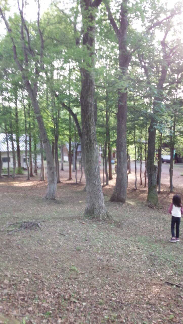 高床山森林公園キャンプ場の写真 3枚目