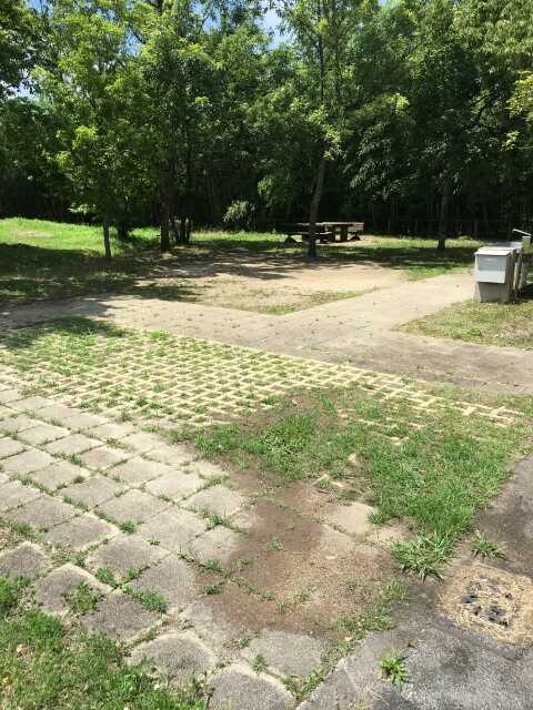 オートキャンプ場「ホッ!とステイまんのう」の写真 2枚目