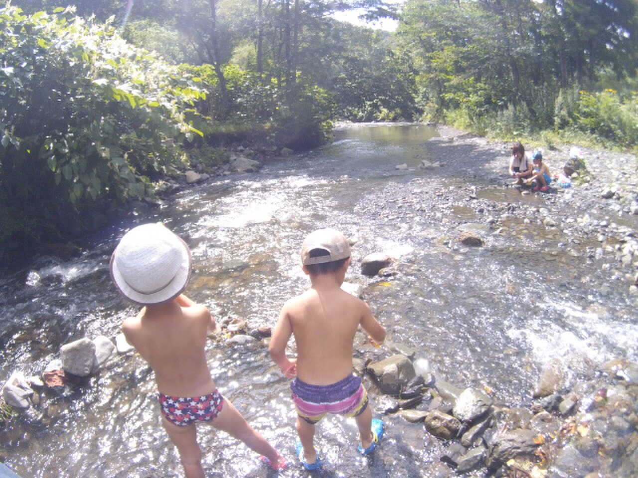 道民の森一番川地区オートキャンプ場の写真 1枚目