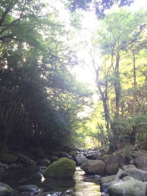 かっこうの郷キャンプ場の写真 3枚目