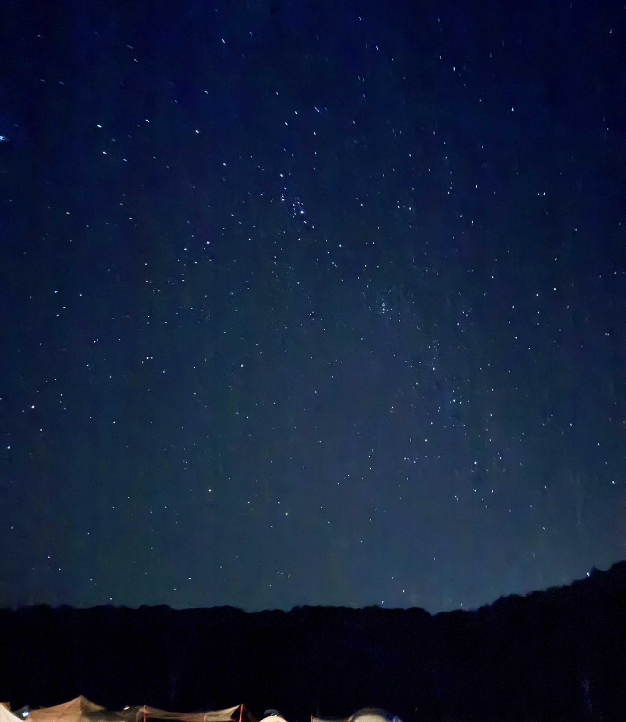 星空めっちゃキレイ