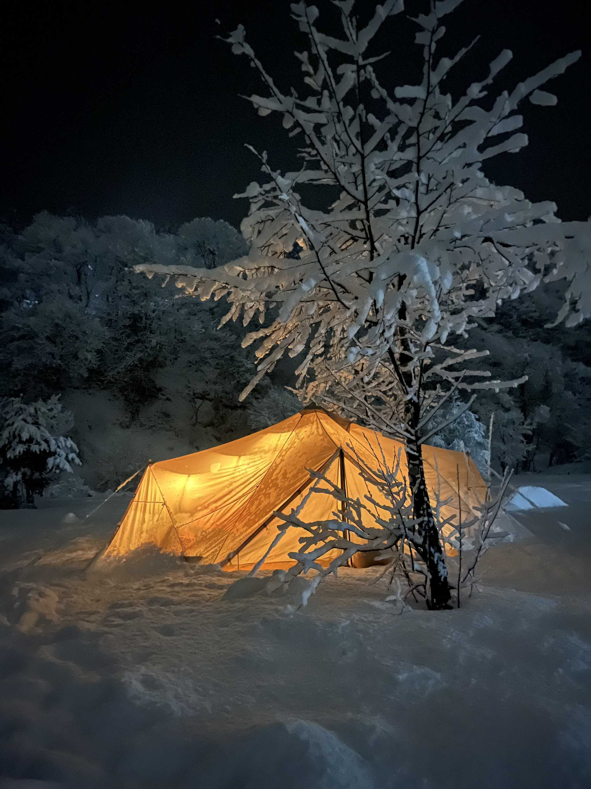 白川郷 桜街道 ひらせ温泉キャンプサイトの写真 1枚目