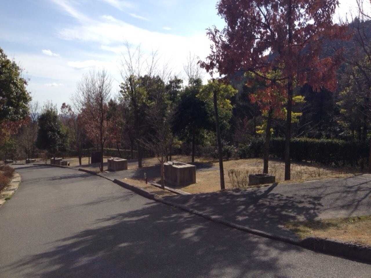 憩いの森公園の写真 4枚目