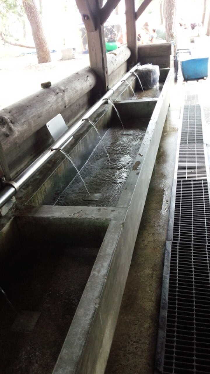 園家山キャンプ場の写真 2枚目