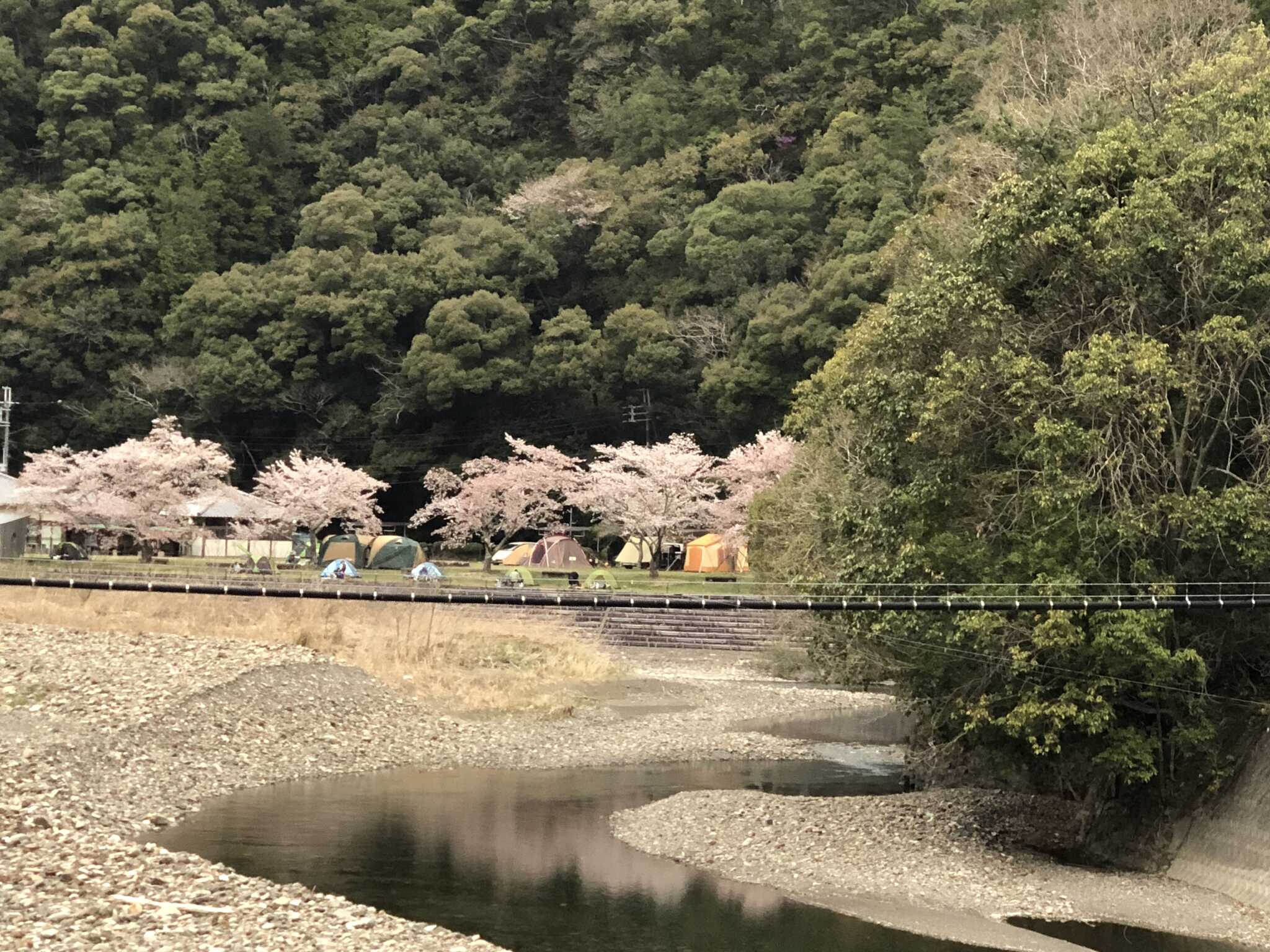 対岸より
