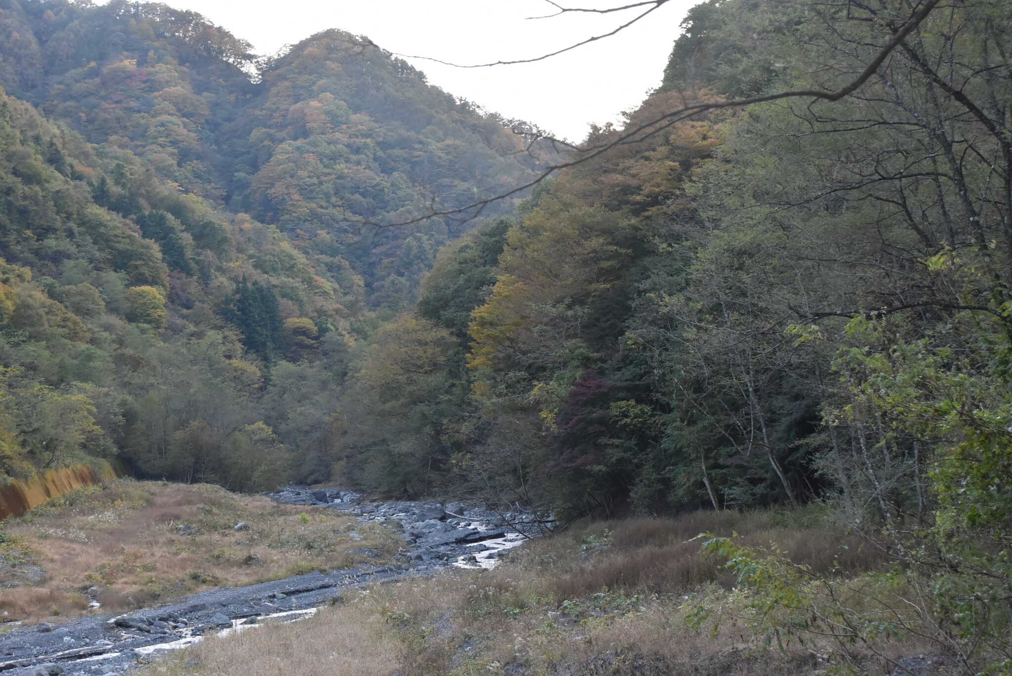 横を流れる川
