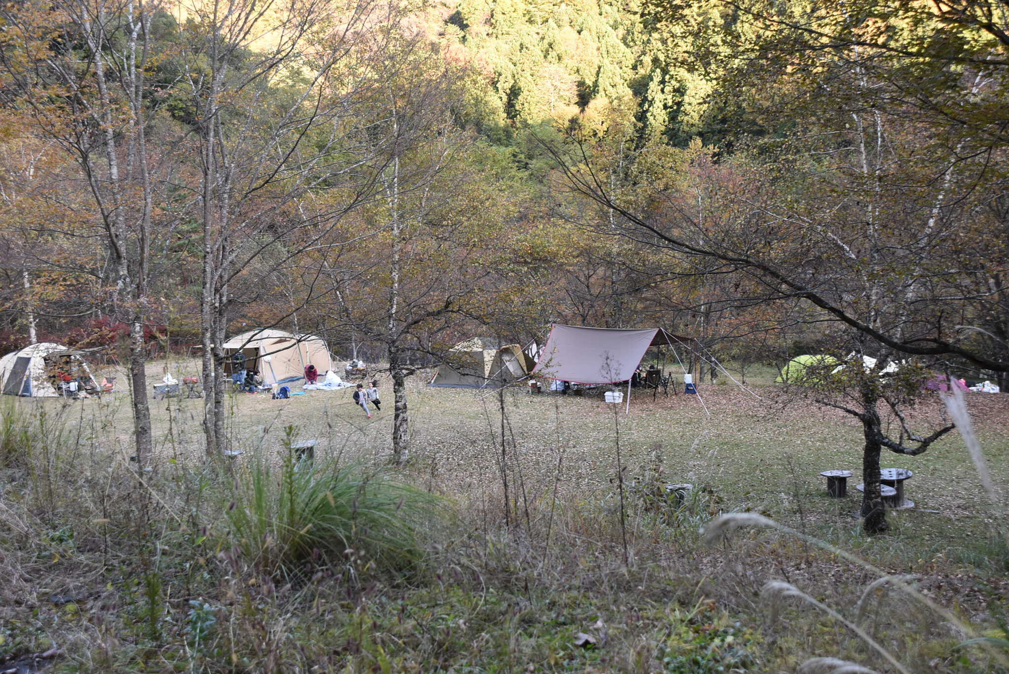 キャンプ場の風景