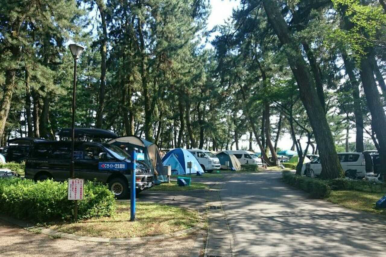 マキノサニービーチ知内浜オートキャンプ場の写真 2枚目