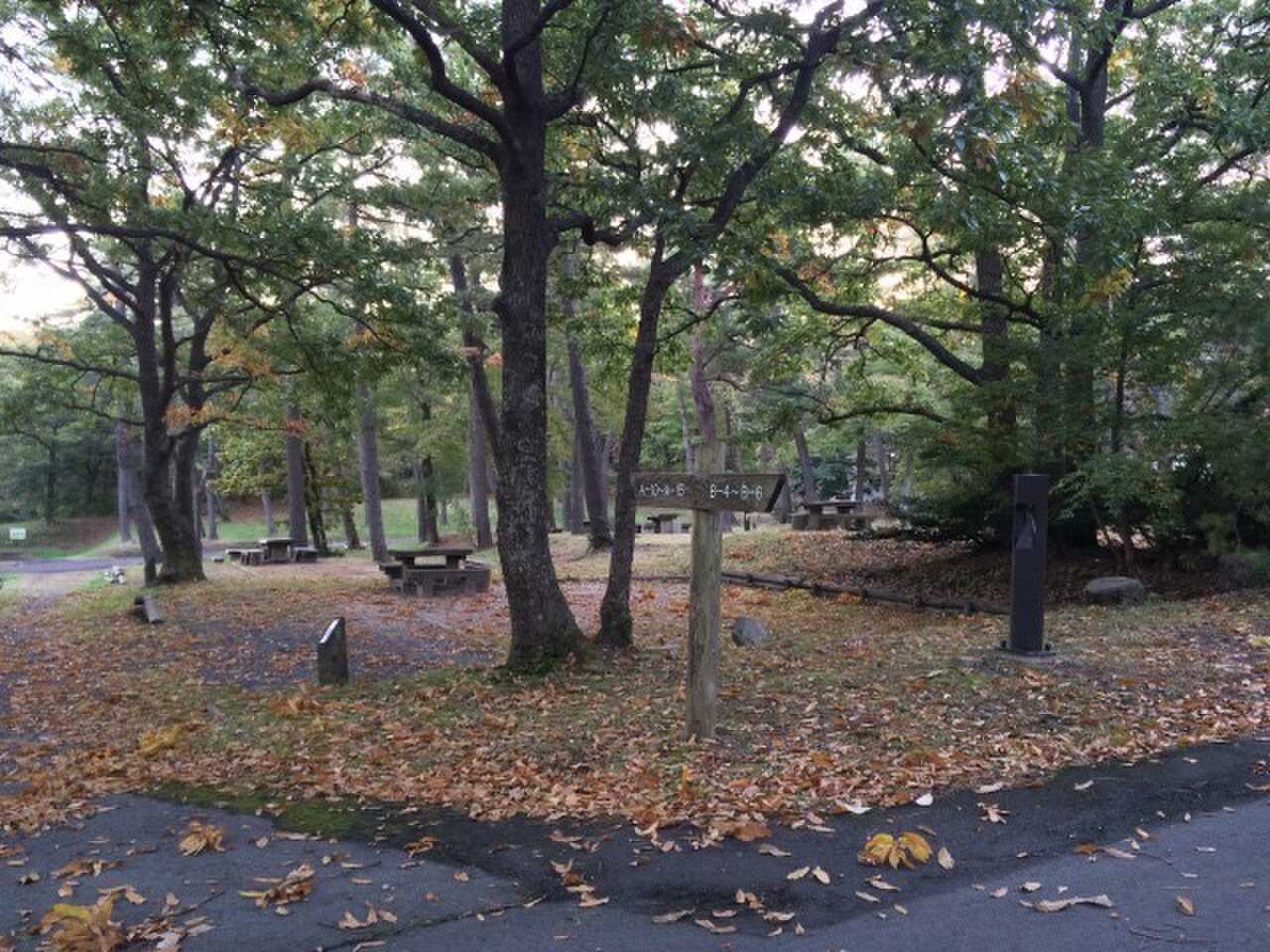 三瓶山北の原キャンプ場の写真 4枚目