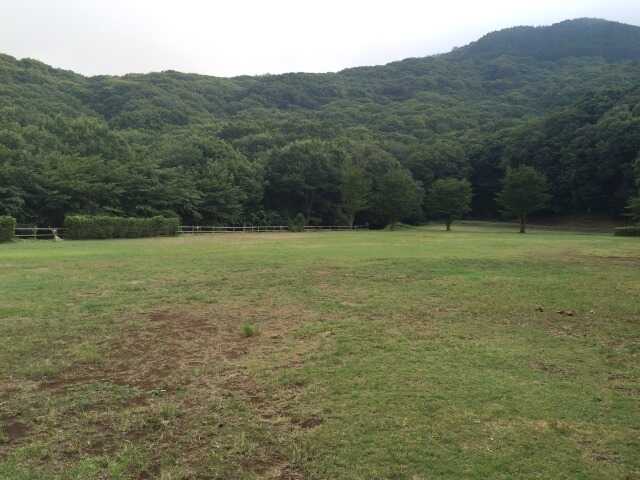 沼津 市民の森の写真 3枚目