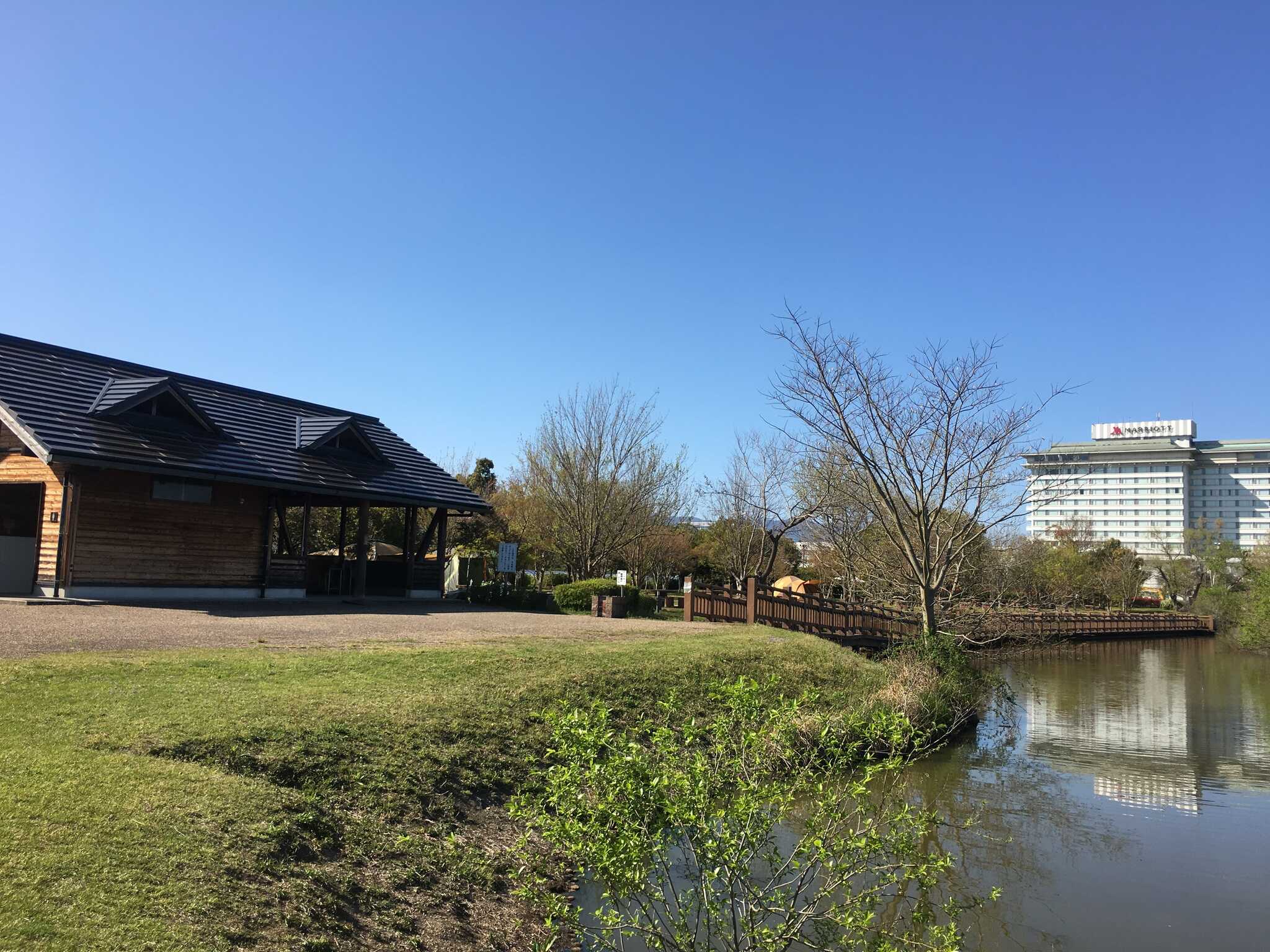 みさき自然公園キャンプ場の写真 3枚目