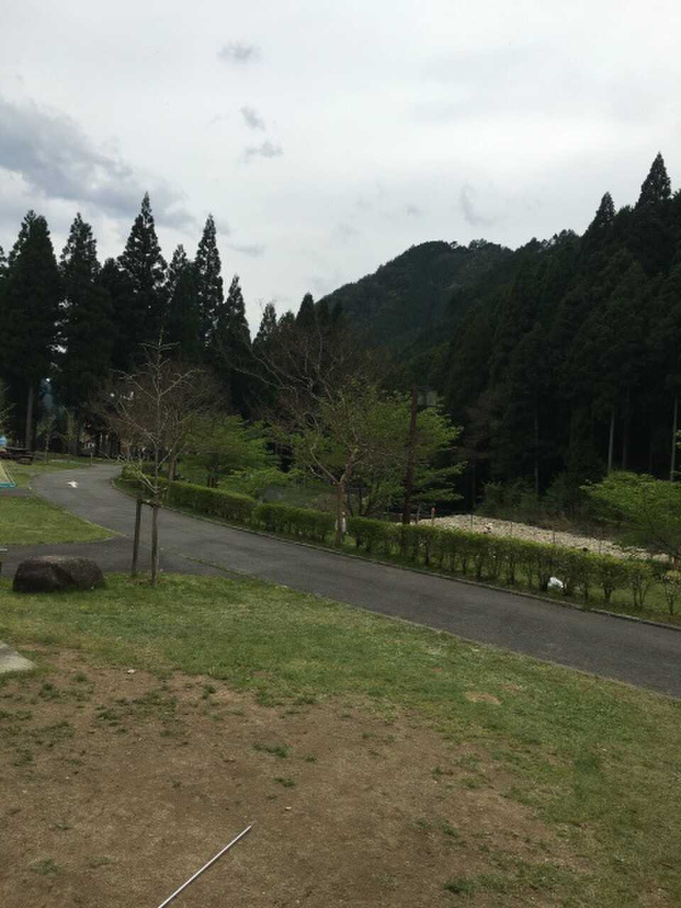 サイトから川方面の眺め