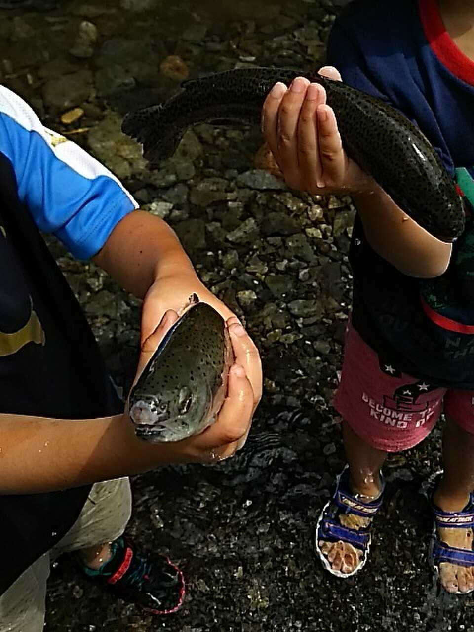 東キャンプ場の写真 1枚目