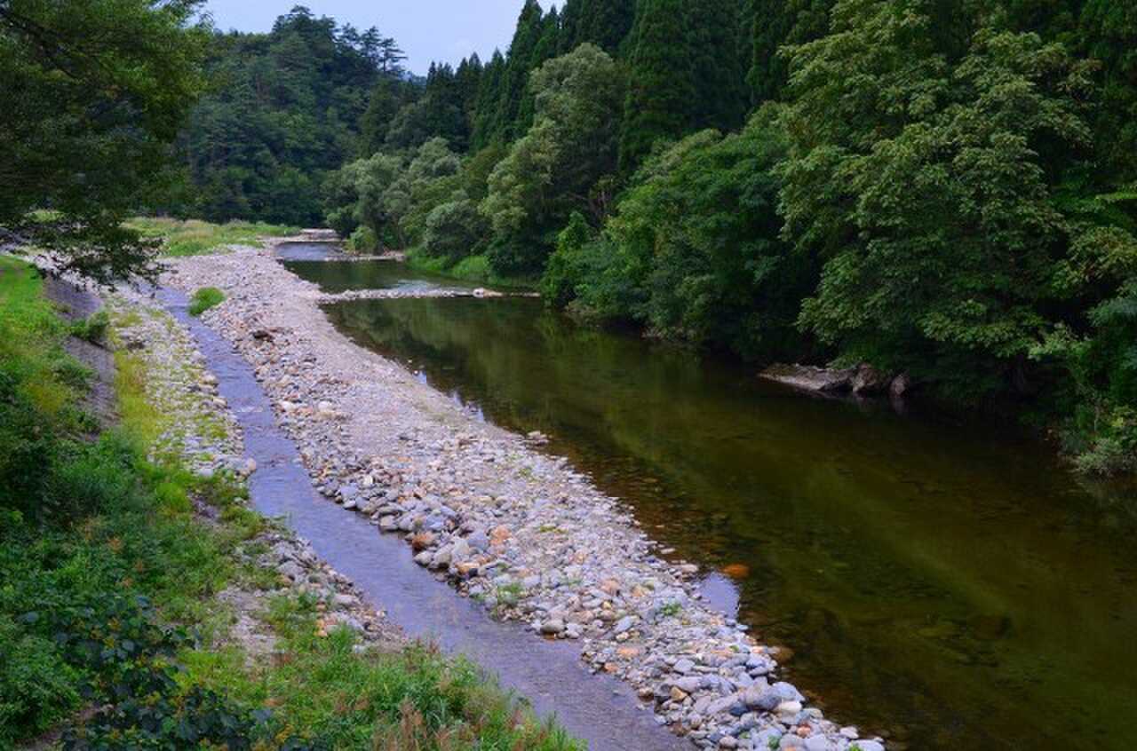 管理釣り場