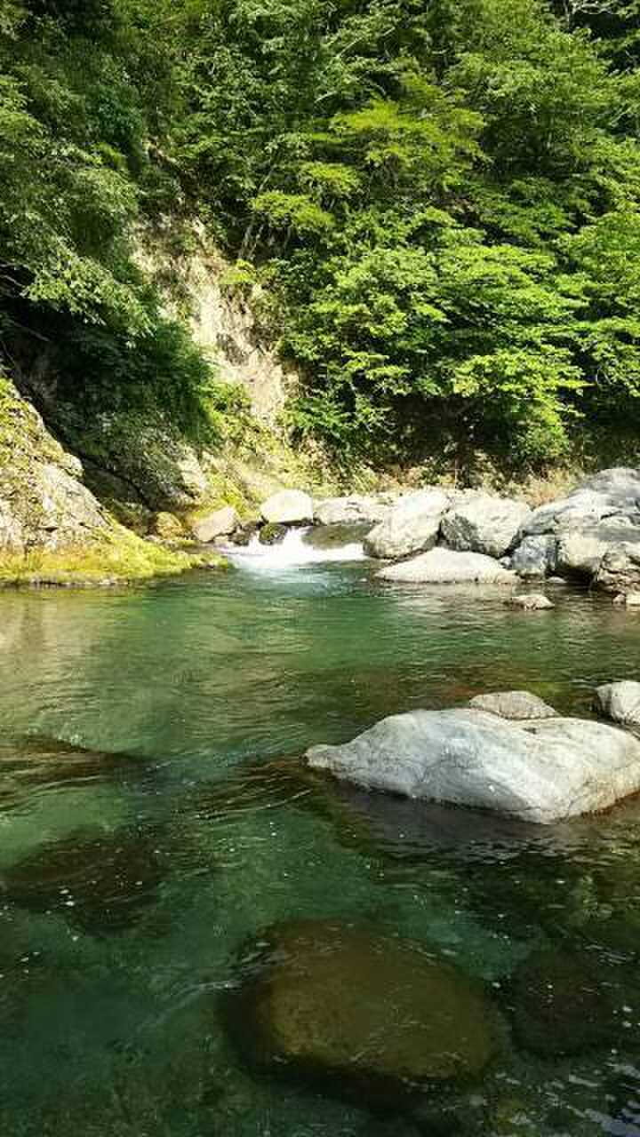 大渡キャンプ場の写真 3枚目