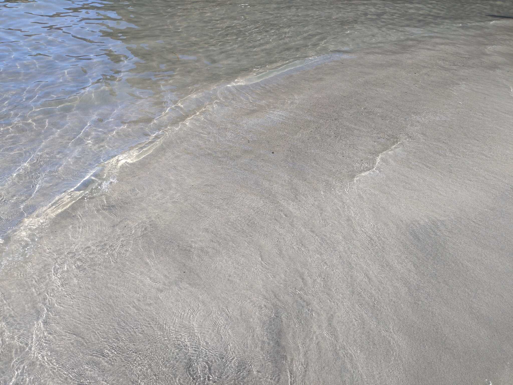 近くの海。きれい。