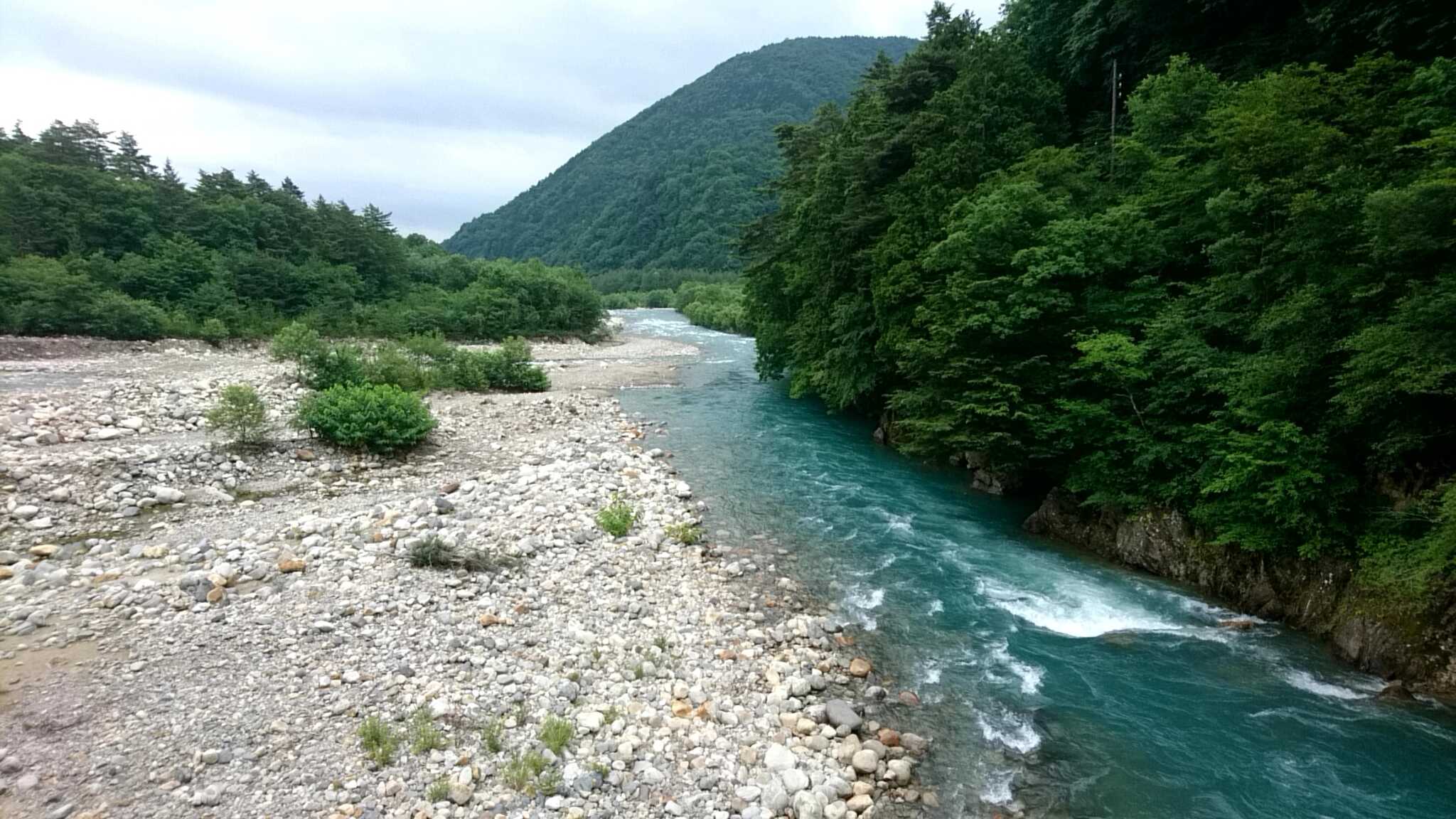 千年の森自然学校の口コミ投稿写真