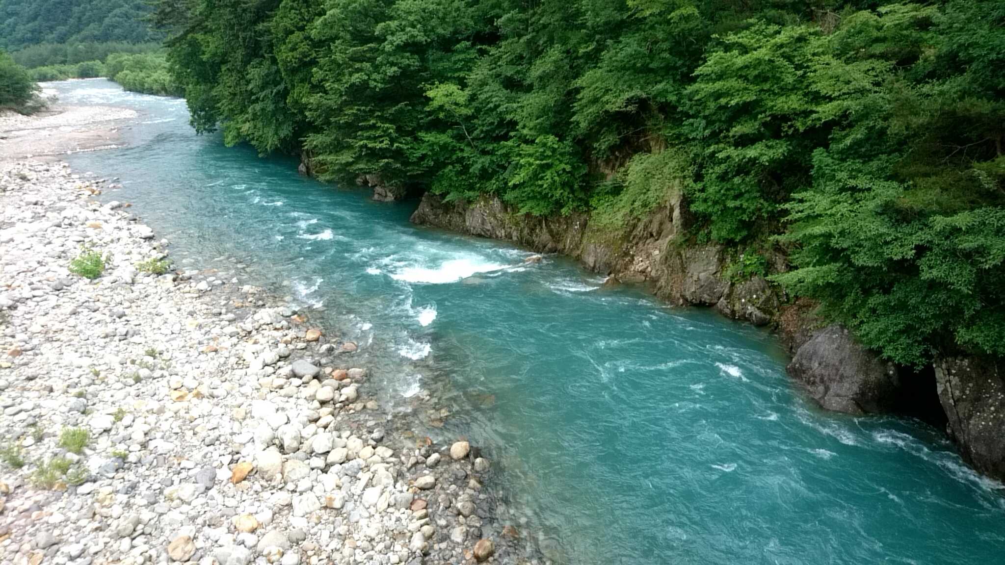 千年の森自然学校の口コミ投稿写真